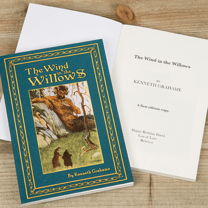 The Wind in the Willows Personalized Kids Classic Chapter ...